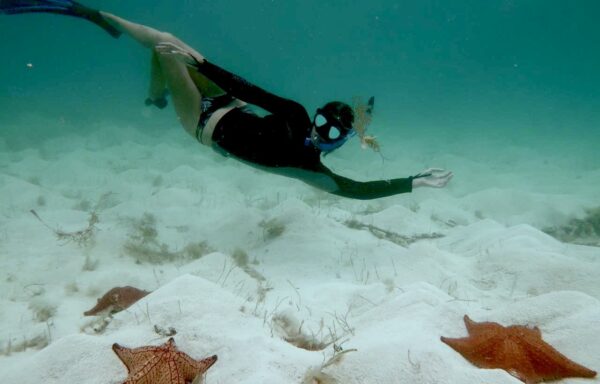 Animal Park, Snorkeling & Beach