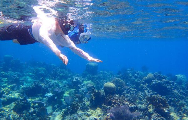 Roatan Coral Reef Snorkeling Adventure